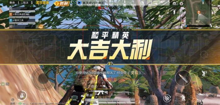 和平精英中怎么样调出外挂（和平精英怎样在设置里面调外挂）